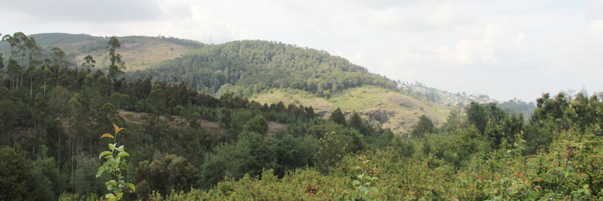 cottages in kodaikanal