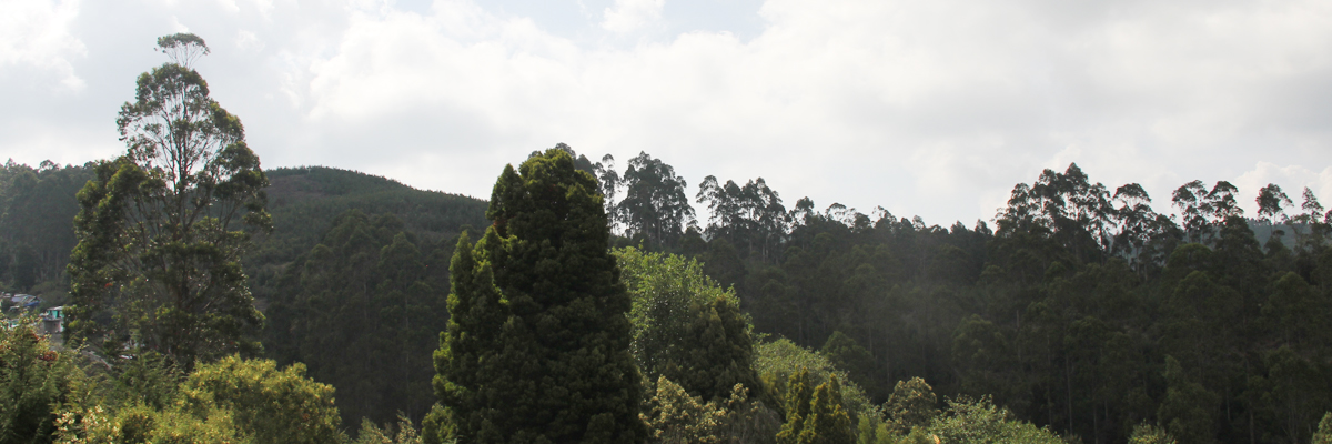 kodaikanal homestay packages 