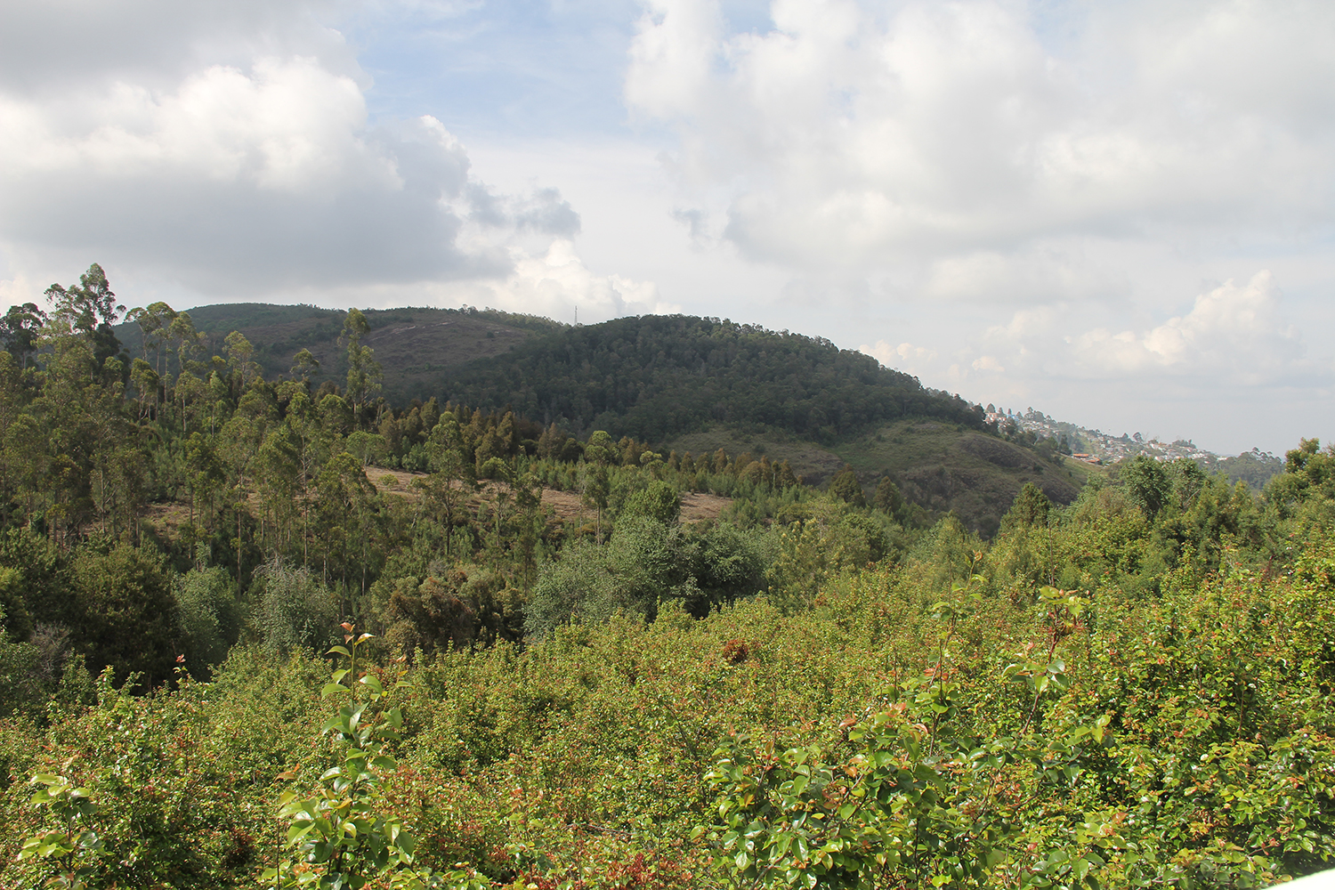 Kodaikanal Homestay Rates