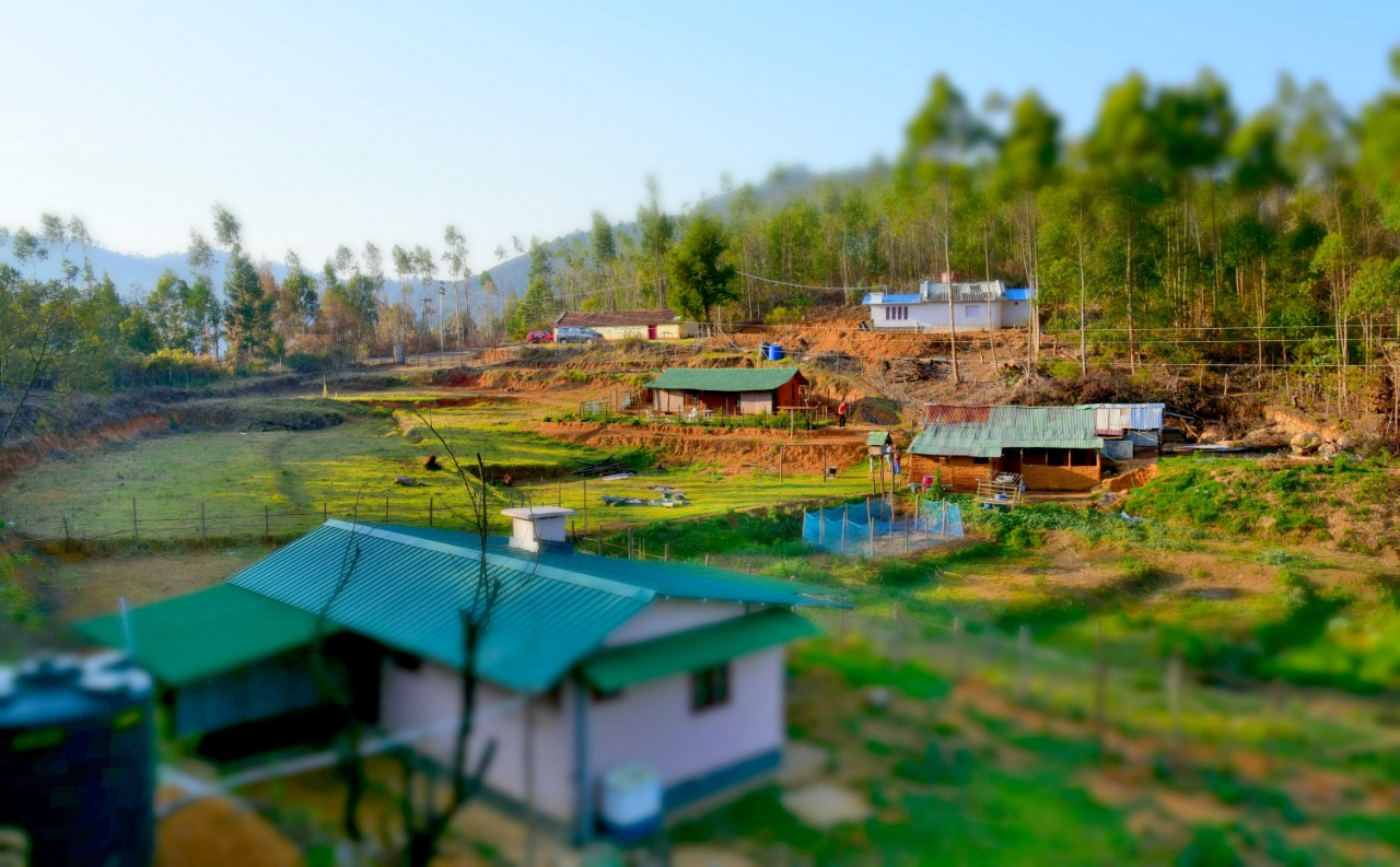 Tour PAckages Kodaikanal