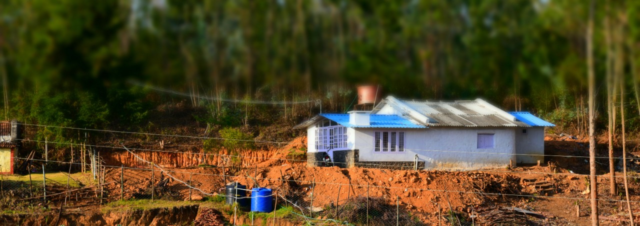 Tour PAckages Kodaikanal